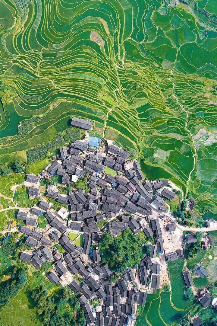 什么是中国传统文化,什么是中国文化