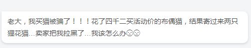 怎样防止网上买猫上当受骗,网上买猫一定不靠谱么