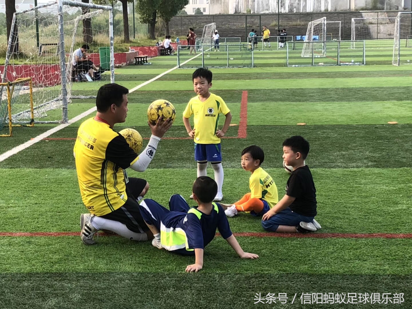 信阳足球暑假训练营,平桥蚂蚁足球俱乐部