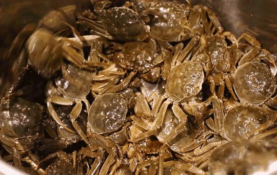 20道豪门蟹宴+梦幻火烈鸟甜品Show！大闸蟹畅吃只只爆膏！