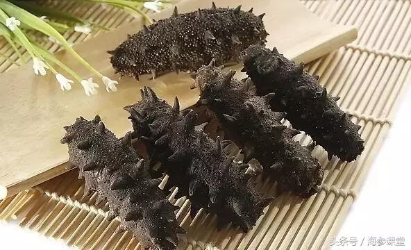 海参产地大揭秘哪里海参最好,大连海参品牌前十名旺岛海参