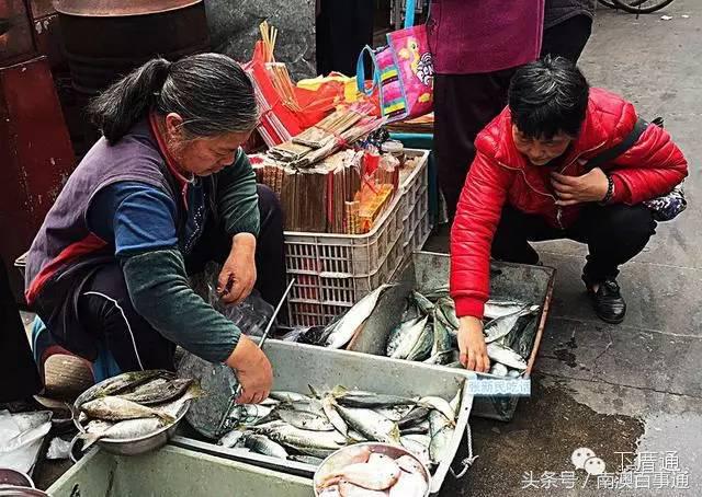 潮汕说的熟鱼和巴浪鱼有什么区别,巴浪鱼只有闽南粤东才有吗