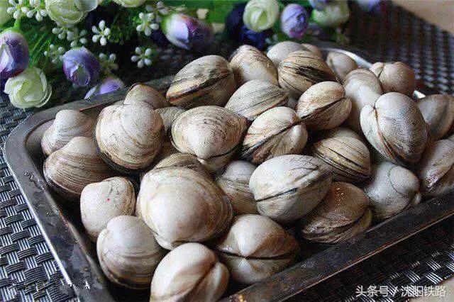 丹东大连鲅鱼圈自驾游,逛吃逛吃专列