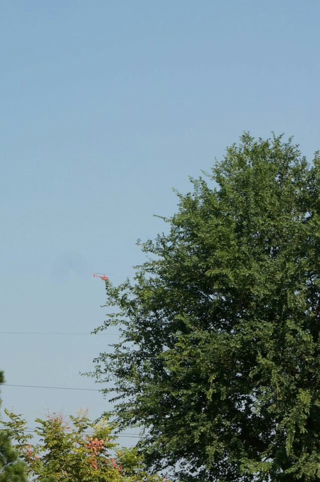 淄博张店青龙山景区,淄博市张店区青龙山公园简介