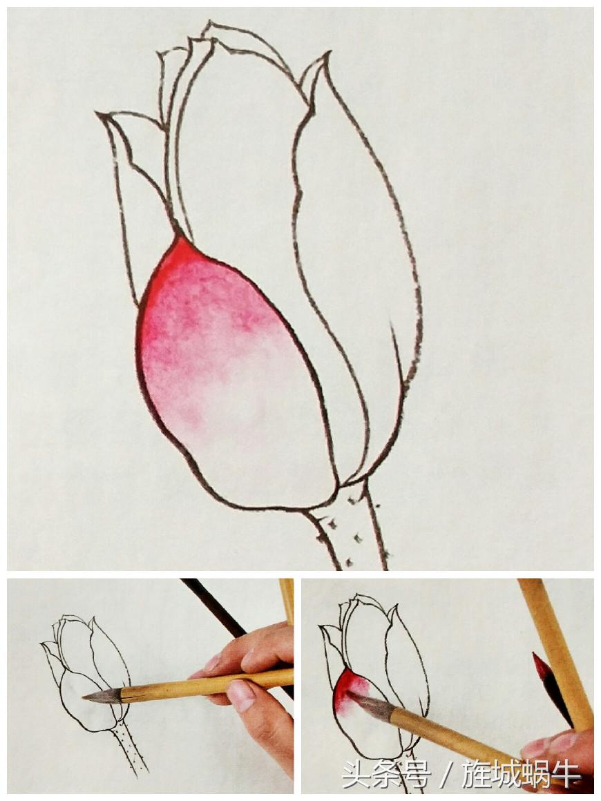 国画工笔重彩教程,国画渲染技法视频