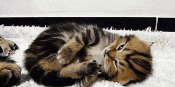 抽筋的科学解释,抽筋真的是因为缺钙吗一图读懂