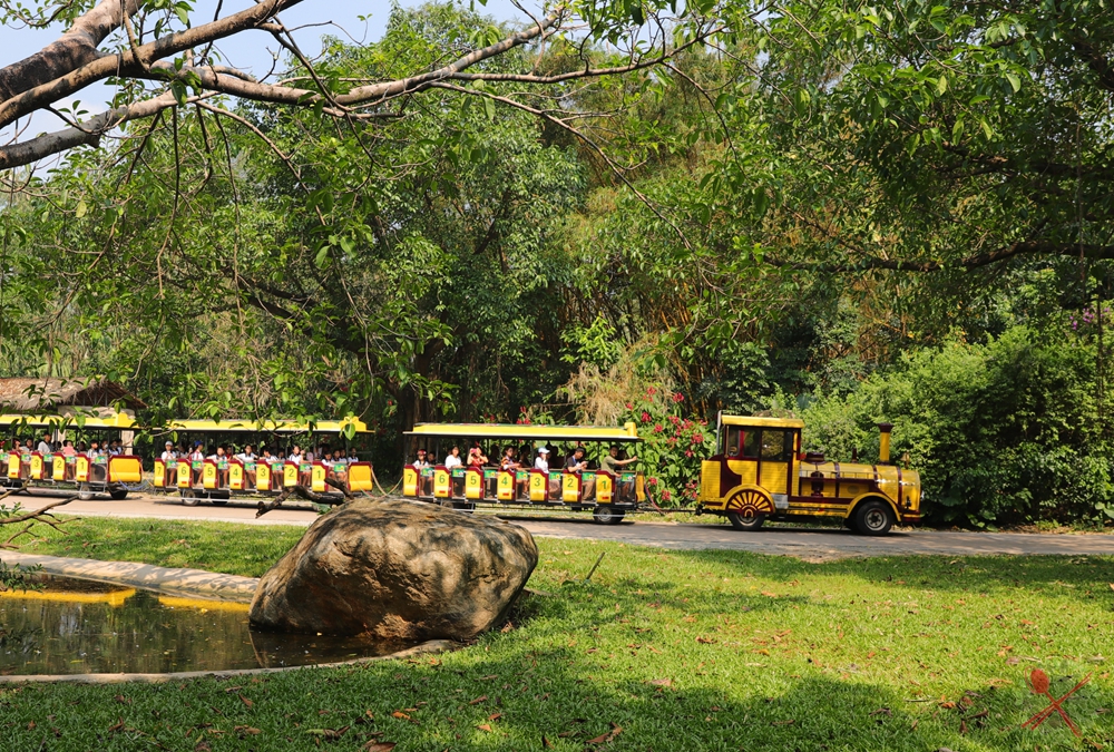 广州长隆乐园最全游玩攻略,广州长隆乐园旅游攻略三天两夜