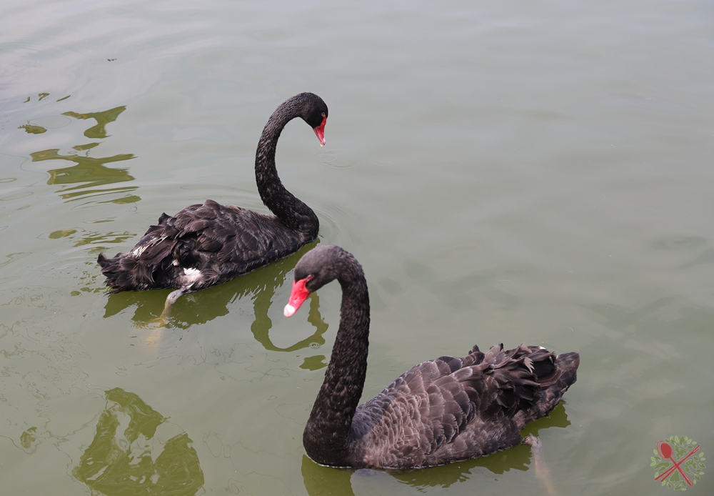 广州长隆乐园最全游玩攻略,广州长隆乐园旅游攻略三天两夜