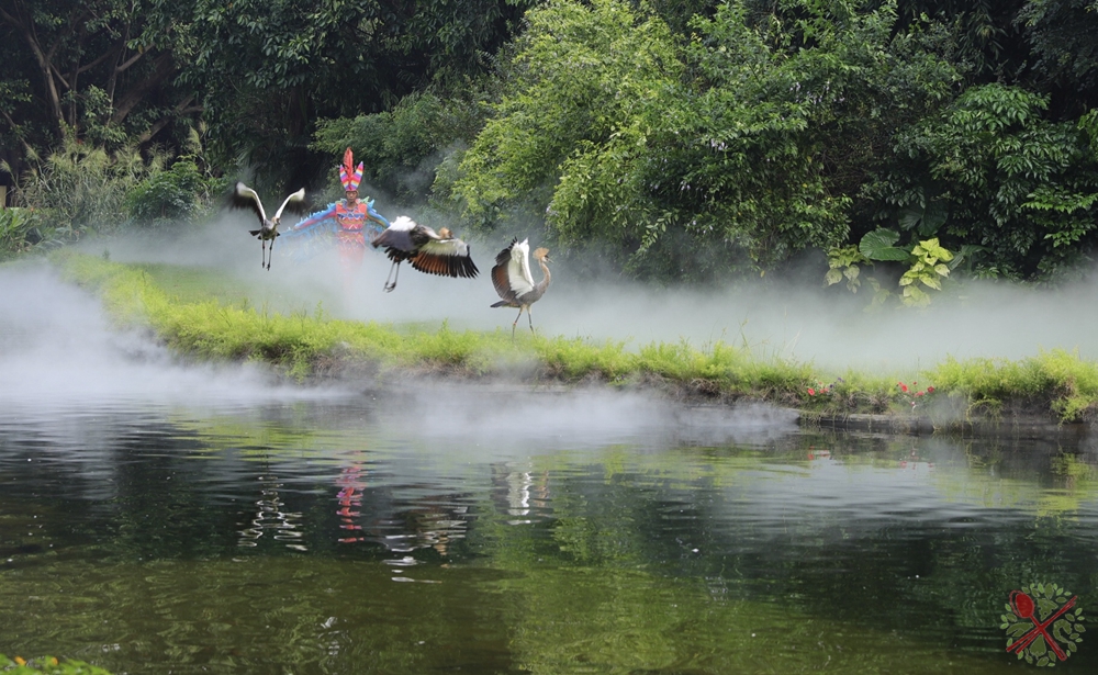 去广州长隆不住景区攻略,春节广州长隆不住园区怎么玩