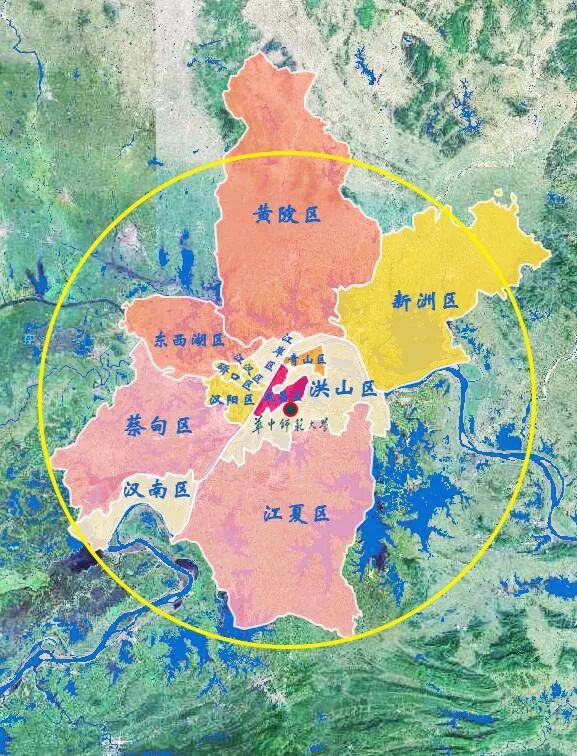 以华中师大为坐标原点，丈量大武汉