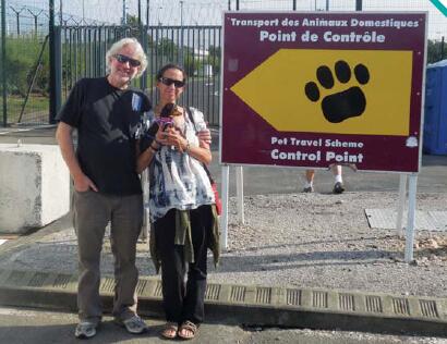 施华洛世奇狗狗,施华洛世奇德国牧羊犬摆件