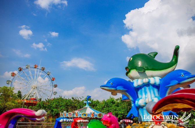 第一次采摘火龙果的体验,高明采摘火龙果