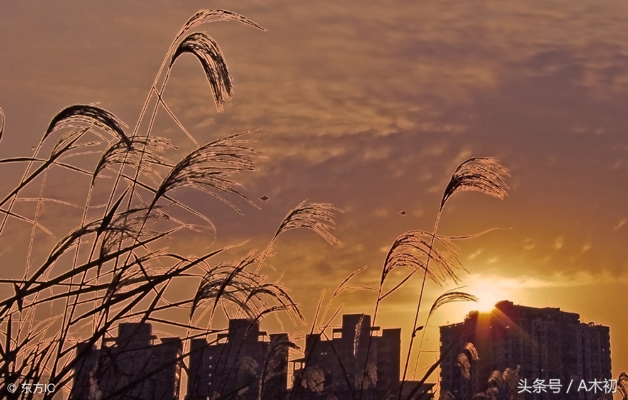 蒙学读物哪本好,第一部蒙学读物