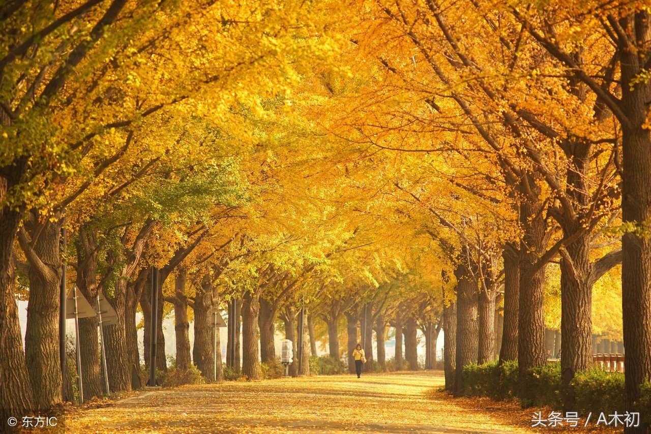 蒙学读物哪本好,第一部蒙学读物