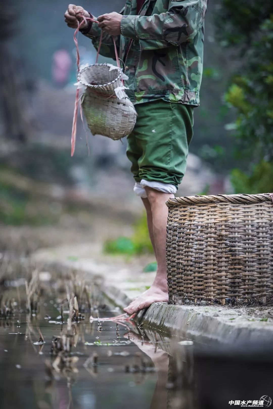 生鱼片哪里最出名,生鱼片排名前十名鱼