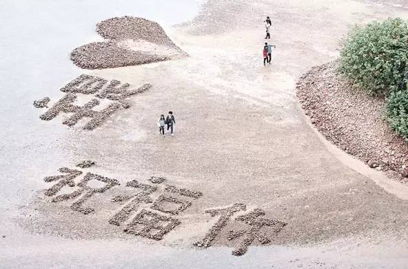 高铁郑州到香港西九龙如何过关,郑州直达香港西九龙高铁站