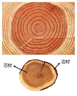 地板真伪鉴别有诀窍,地板深层污渍测评