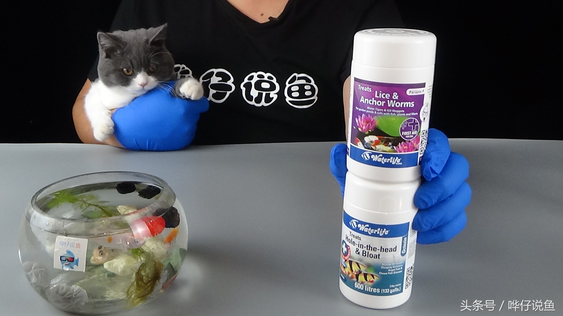 面对这种被宠物鱼高手热捧的观赏鱼药，我劝大家冷静一丢丢