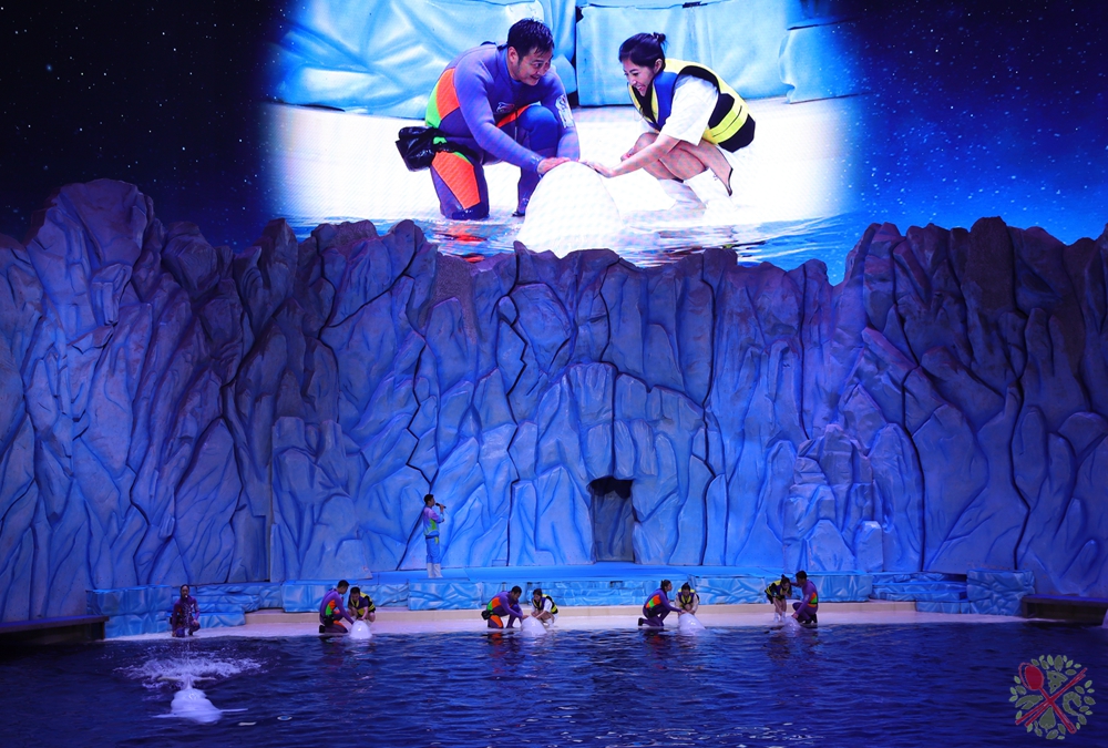 珠海长隆海洋王国企鹅三天两晚,珠海长隆海洋王国企鹅北极熊