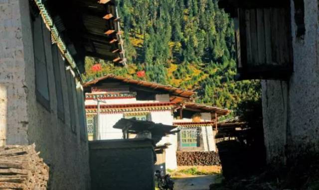 中国最美高速拉林公路,拉林高速为什么不收费