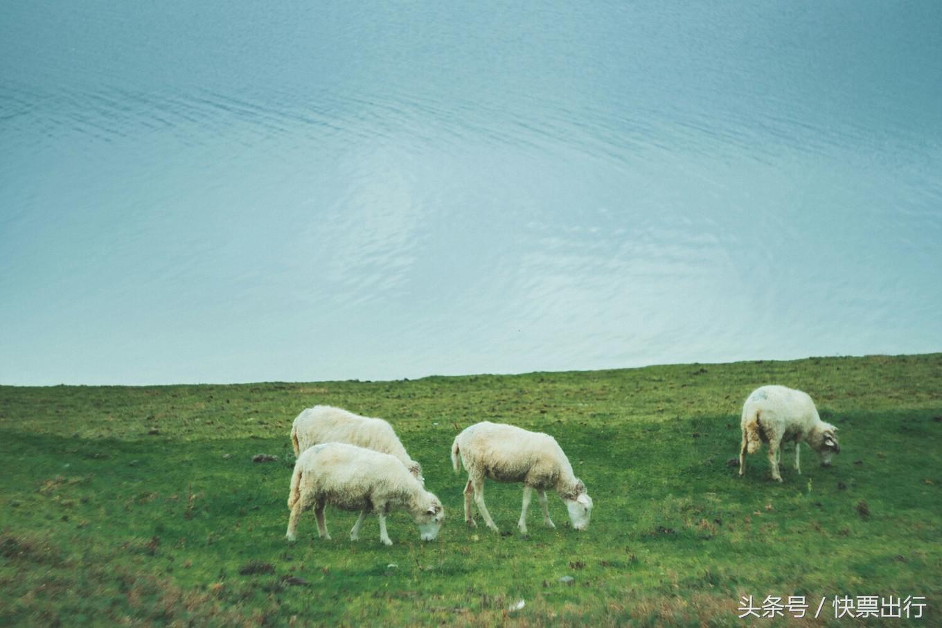 2020孟获城冶勒湖自驾攻略,孟获城冶勒湖自驾游攻略绵阳