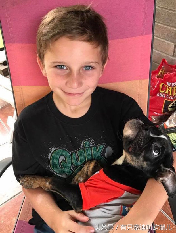 狗狗被关在笼子里咬笼子,狗狗一直被关在小小的笼子里