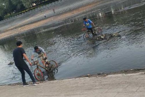 河南将迎新一轮雨雪降温天气 (河南省迎最强冷空气)