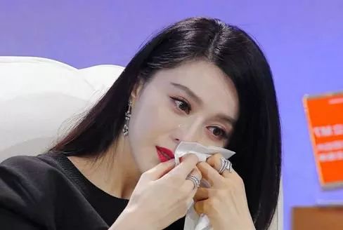 范冰冰偷税和刘晓庆偷税案件比较,范冰冰案和刘晓庆案区别