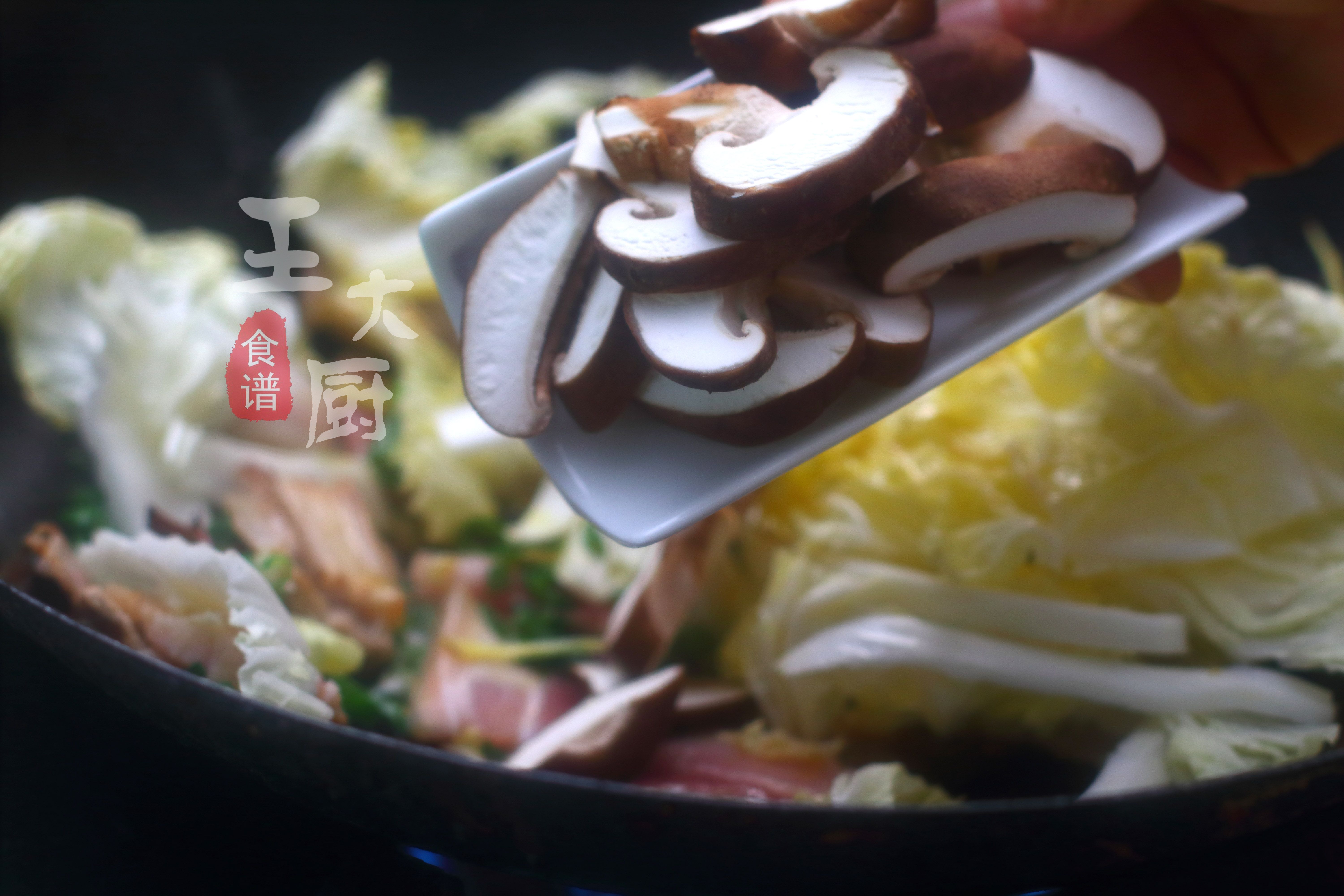 牛肉白菜炖粉条的家常做法有哪些,白菜红烧肉炖粉条的做法大全家常