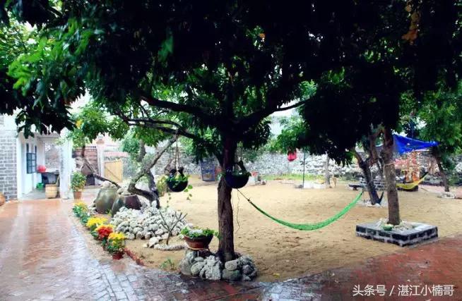 徐闻最有名的村庄,徐闻最出名的村子