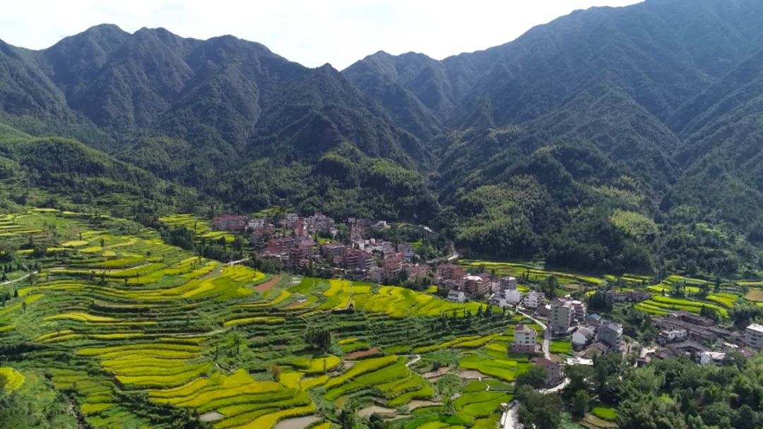 青田旅游必去十大景点,青田旅游攻略必去的景点
