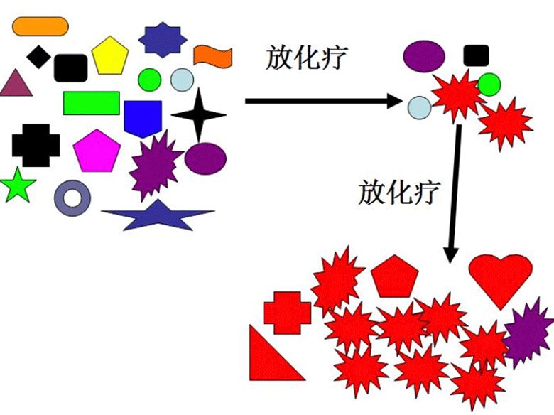 7分钟诺奖得主把癌症讲明白,诺奖获得者讲癌症