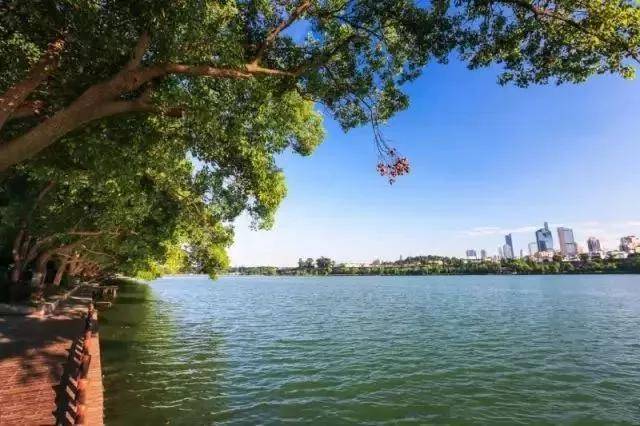 出去人从众,玄武为你安排了身边的风景