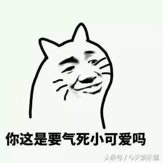 白马谁家子原文,白马谁家子黄龙边塞儿翻译