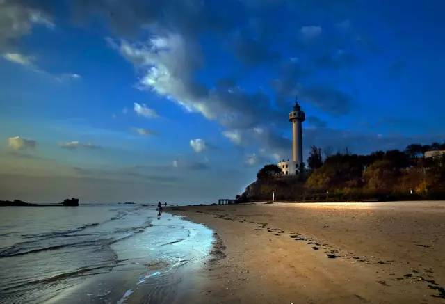 适合带着去旅行的宠物,宠物旅行攻略如何带宠物出门旅游