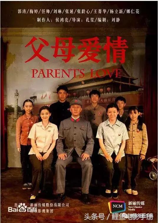 9.8分以上的国产电视剧连续剧,十部9.0高分国产剧