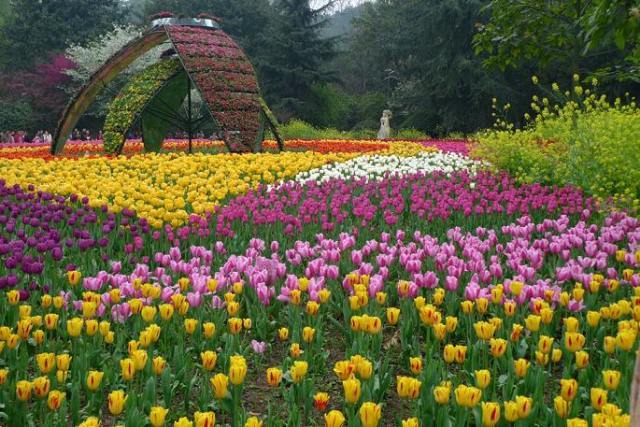 2019年9月份重庆免费活动,2019重庆新打卡地