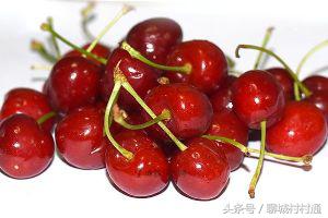 武训故里——山东聊城冠县！十大特色盘点！