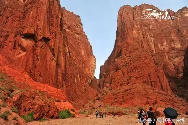 教育类作文万能排比句大全,语文作文万能排比句