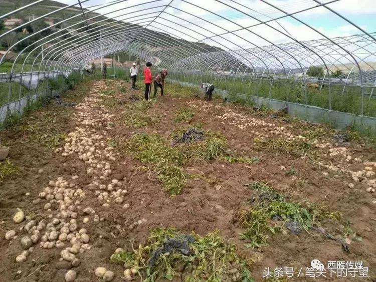 会宁学子求学故事,会宁学子事迹