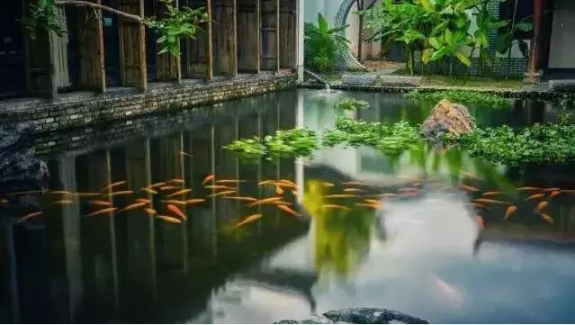 住进婺源秋色里的10家特色民宿,婺源风景最美的民宿