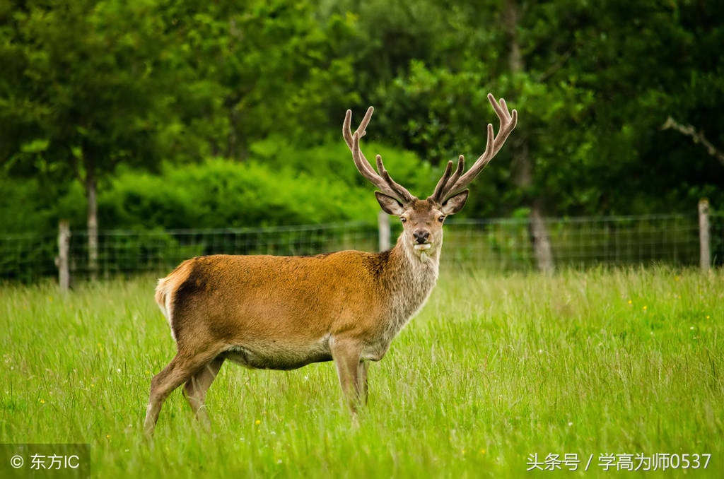 人教版一年级语文练习册推荐,一年级下册语文课课练