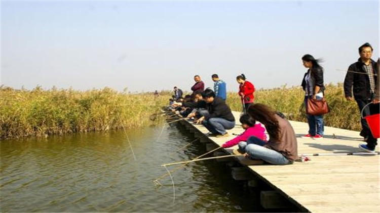 如何做到一顿口就中鱼？从这5点来聊聊