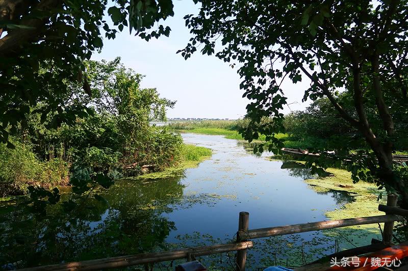 去阳澄湖吃大闸蟹一日游10月份,去阳澄湖吃大闸蟹一日游蟹行天下