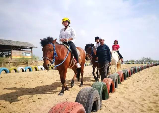 十一银川免费一日游推荐,宁夏十一一日游