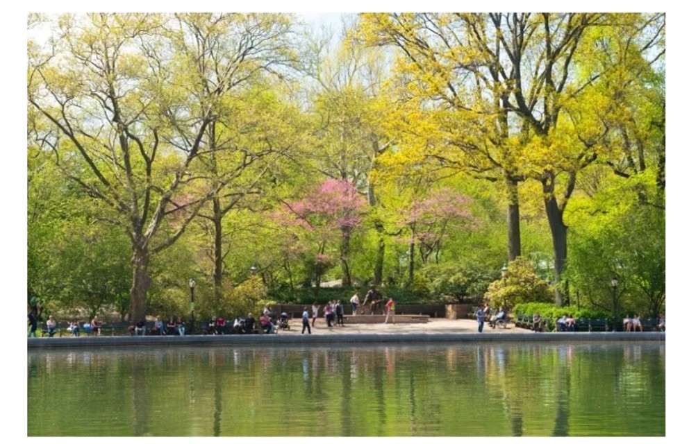 一份详细的攻略让你玩得尽兴,重庆本地人才知道的路线