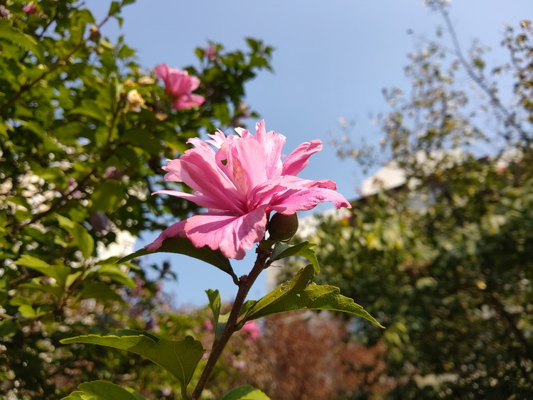 三防手机也要做大众情人测试AGMX3