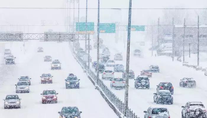 “我爱温哥华,但我无奈选择卡尔加里”:一位BC艺术家的“陈词”