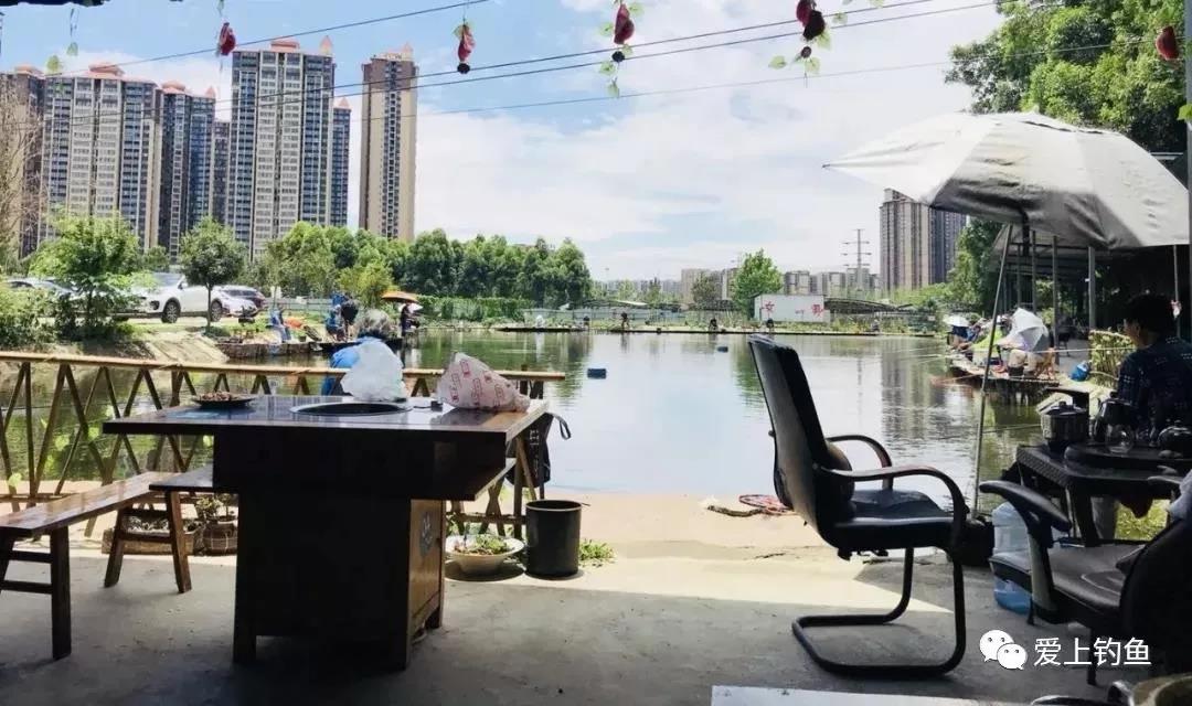 收费的鱼塘钓鱼,收费塘可以路亚吗