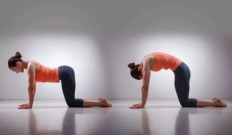 每天蹲一会儿能改善便秘,每天蹲3小时的效果